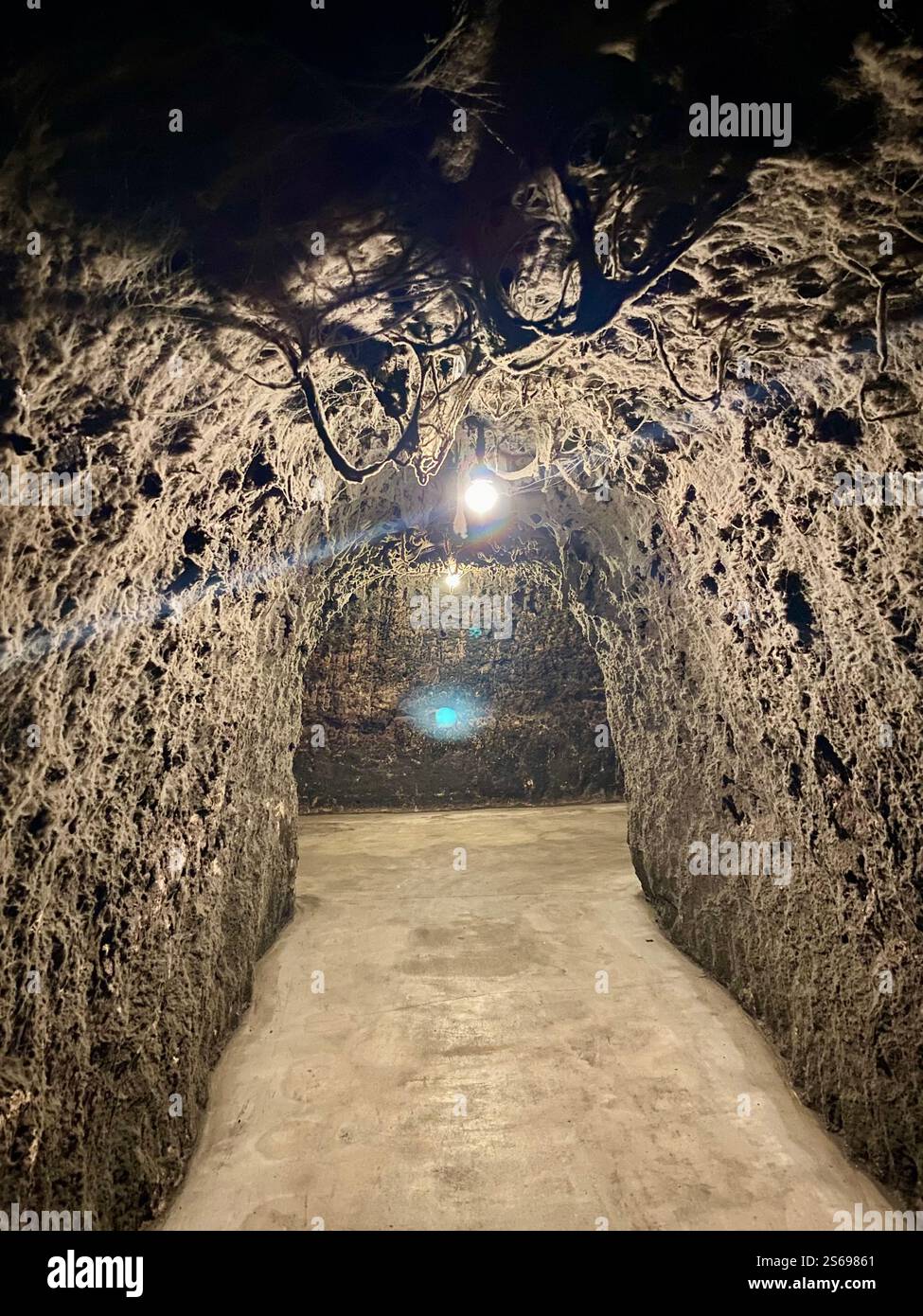 dirty wine cave - Smartphone Captured Stock Image