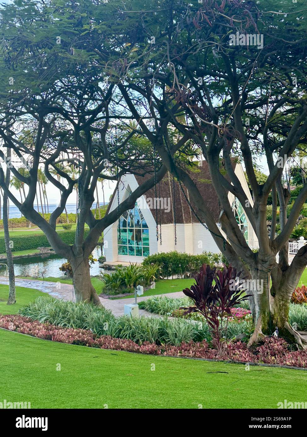church in Maui - Smartphone Captured Stock Image