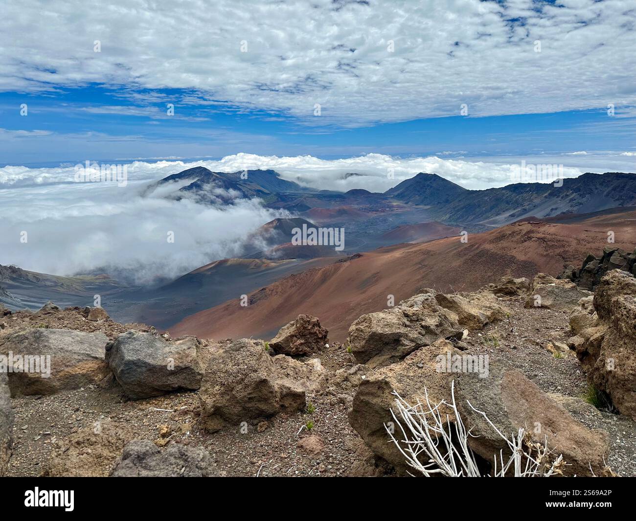 Haleakala National Park - Smartphone Captured Stock Image