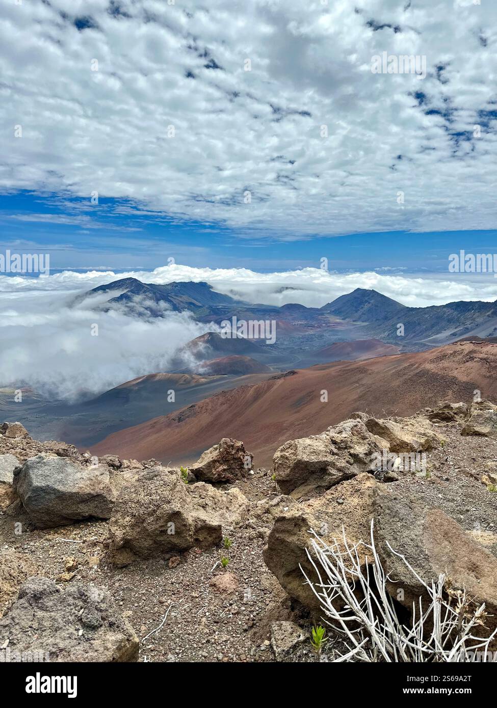 Haleakala National Park - Smartphone Captured Stock Image