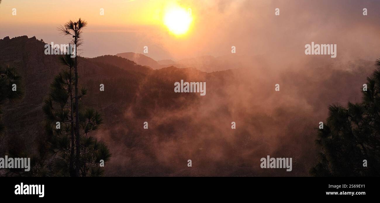Lost in the fog, where the sun gently kisses the mountains and nature speaks in whispers. - Smartphone Captured Stock Image