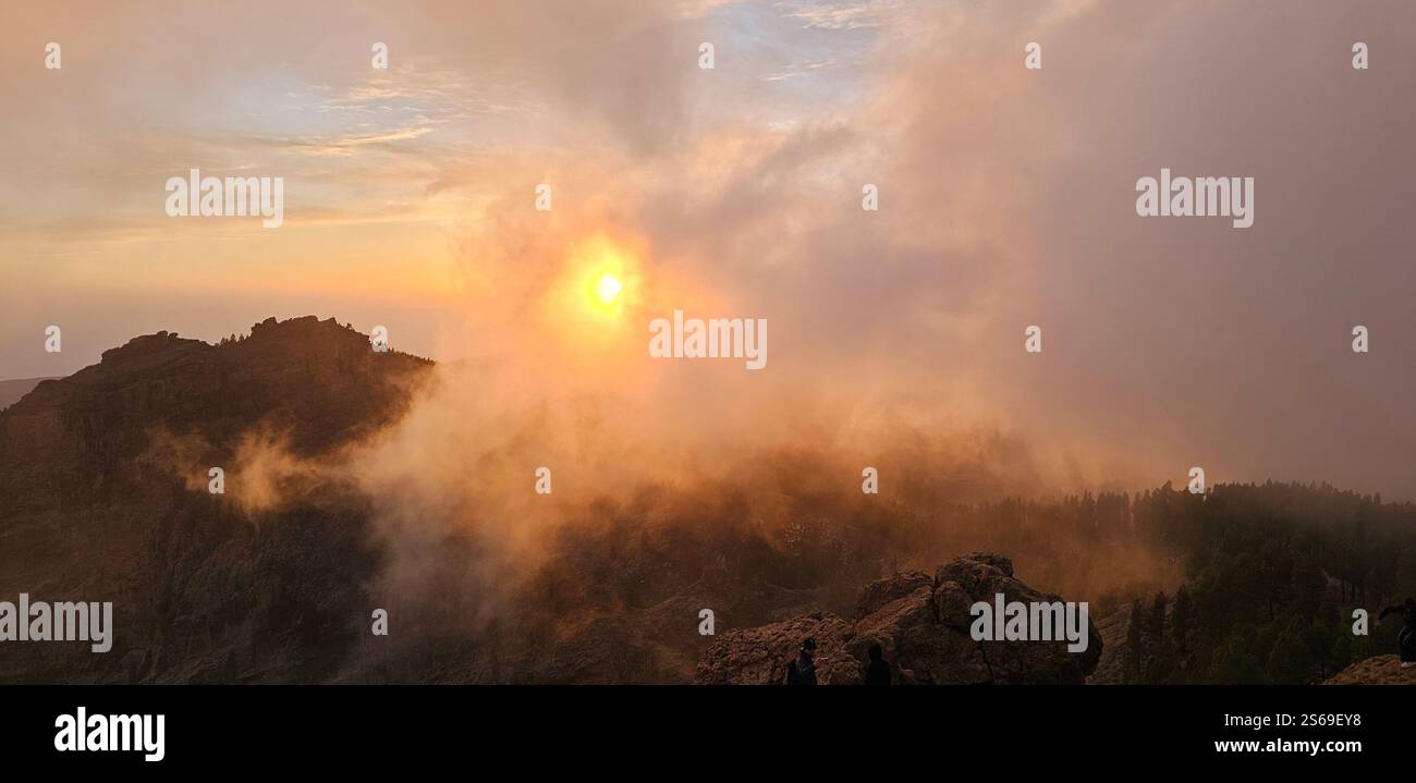 Lost in the fog, where the sun gently kisses the mountains and nature speaks in whispers. - Smartphone Captured Stock Image