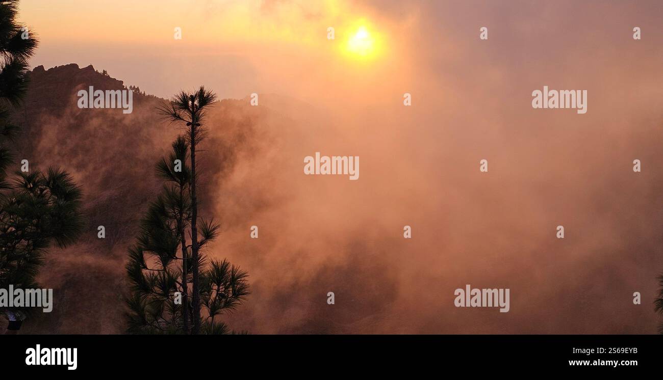 Lost in the fog, where the sun gently kisses the mountains and nature speaks in whispers. - Smartphone Captured Stock Image
