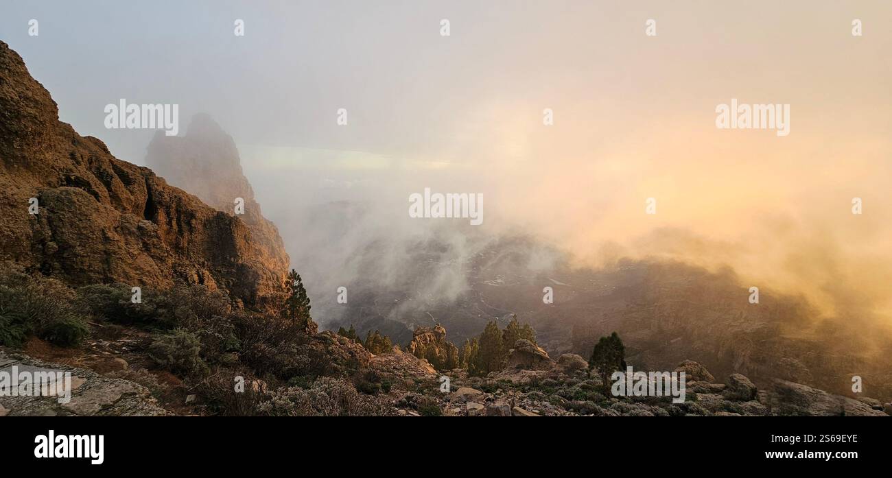 Lost in the fog, where the sun gently kisses the mountains and nature speaks in whispers. - Smartphone Captured Stock Image