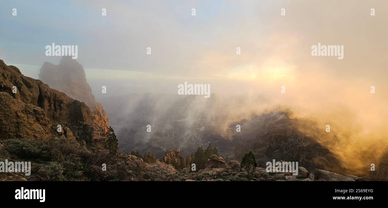 Lost in the fog, where the sun gently kisses the mountains and nature speaks in whispers. - Smartphone Captured Stock Image