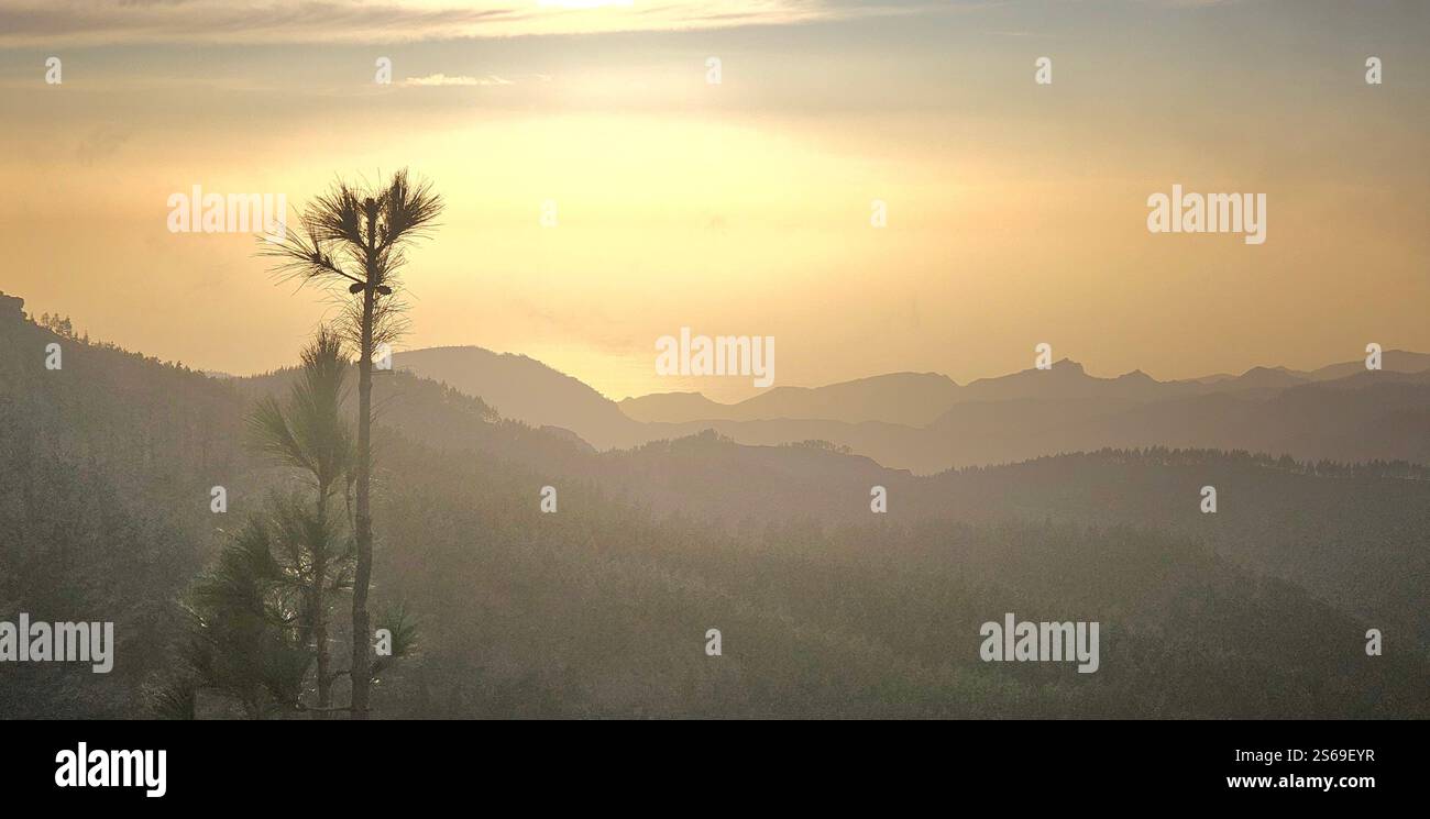 Lost in the fog, where the sun gently kisses the mountains and nature speaks in whispers. - Smartphone Captured Stock Image