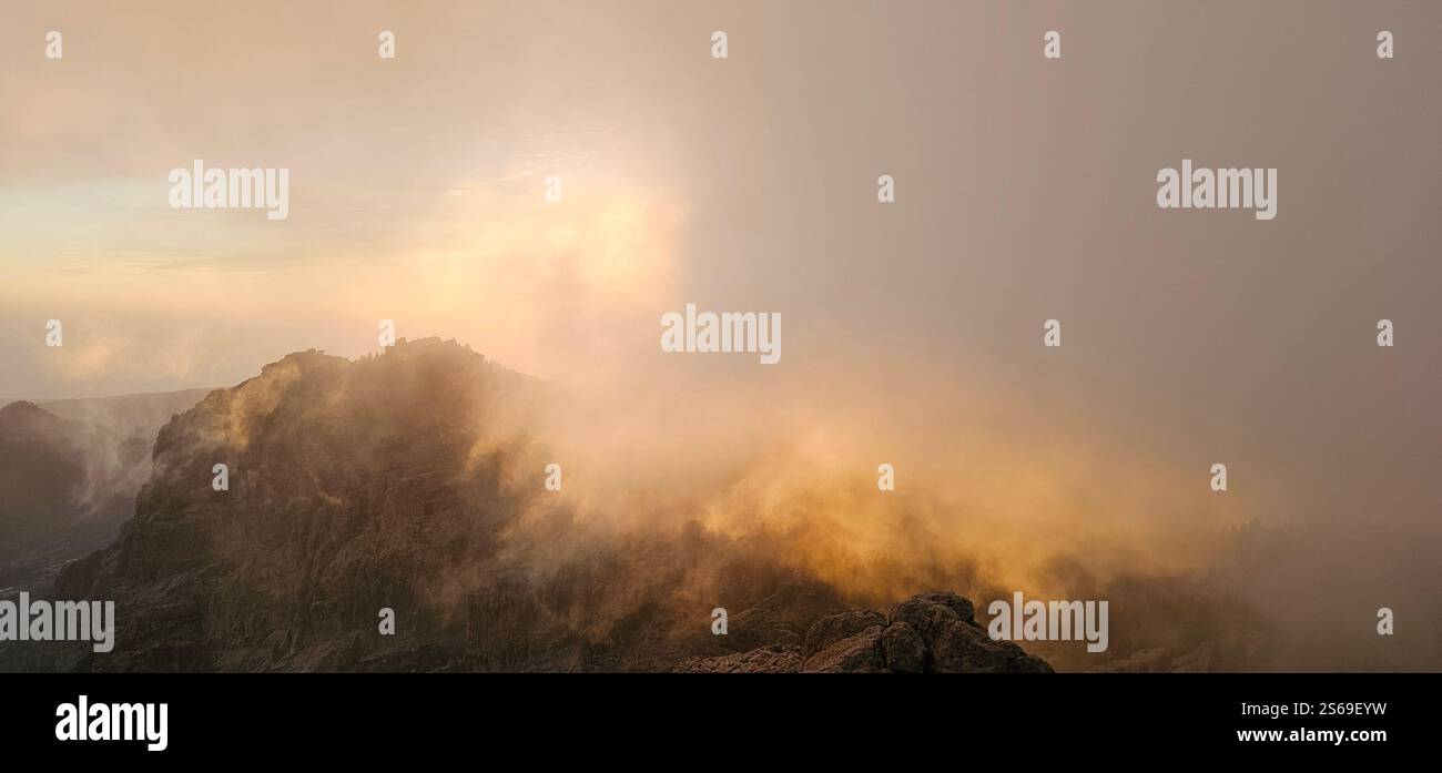 Lost in the fog, where the sun gently kisses the mountains and nature speaks in whispers. - Smartphone Captured Stock Image