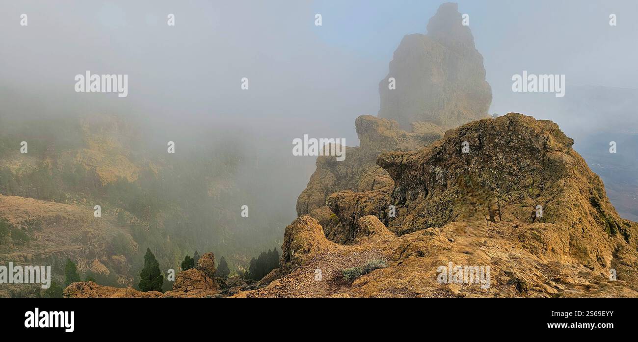 Lost in the fog, where the sun gently kisses the mountains and nature speaks in whispers. - Smartphone Captured Stock Image