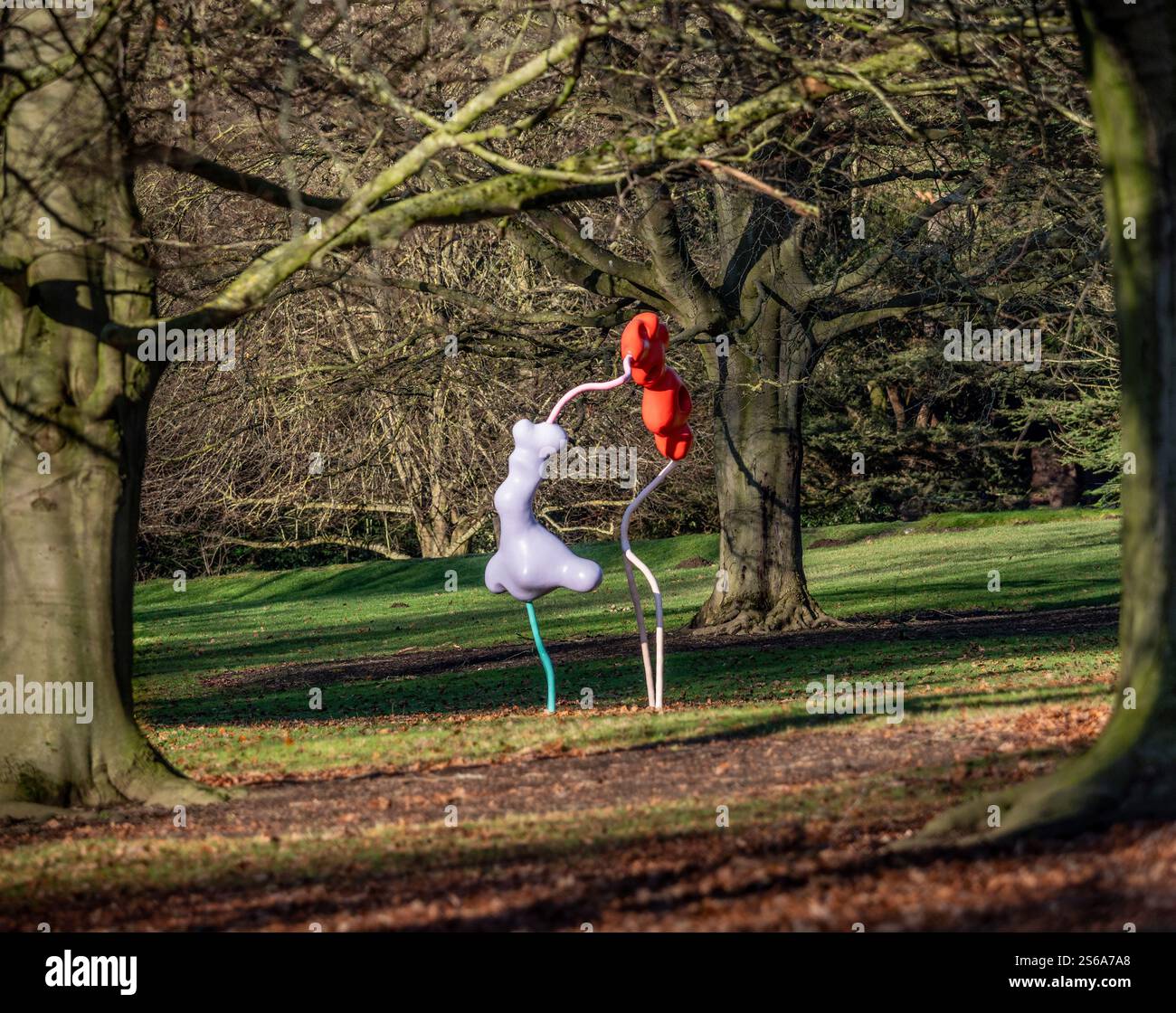 Muamba Grove: Sculpture by Vanessa da Silva, situated amongst the trees in the Yorkshire Sculpture Park on a sunny winter day. Stock Photo