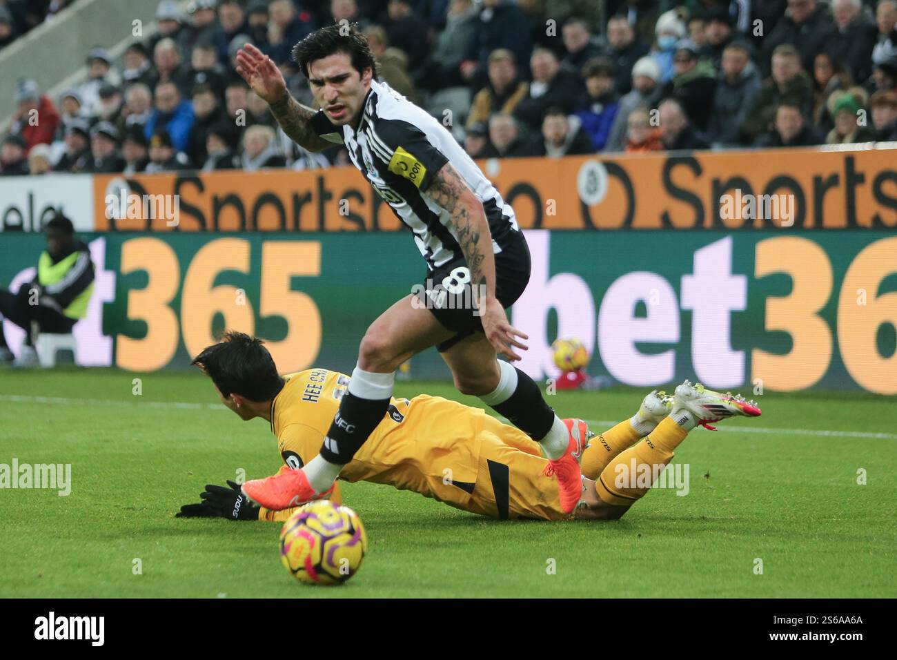 Newcastle United's Sandro Tonali wins the ball from Wolverhampton Wanderers's Hwang Hee-Chan during the Premier League match between Newcastle United and Wolverhampton Wanderers at St. James's Park, Newcastle on Wednesday 15th January 2025. (Photo: Michael Driver | MI News) Credit: MI News & Sport /Alamy Live News Stock Photo