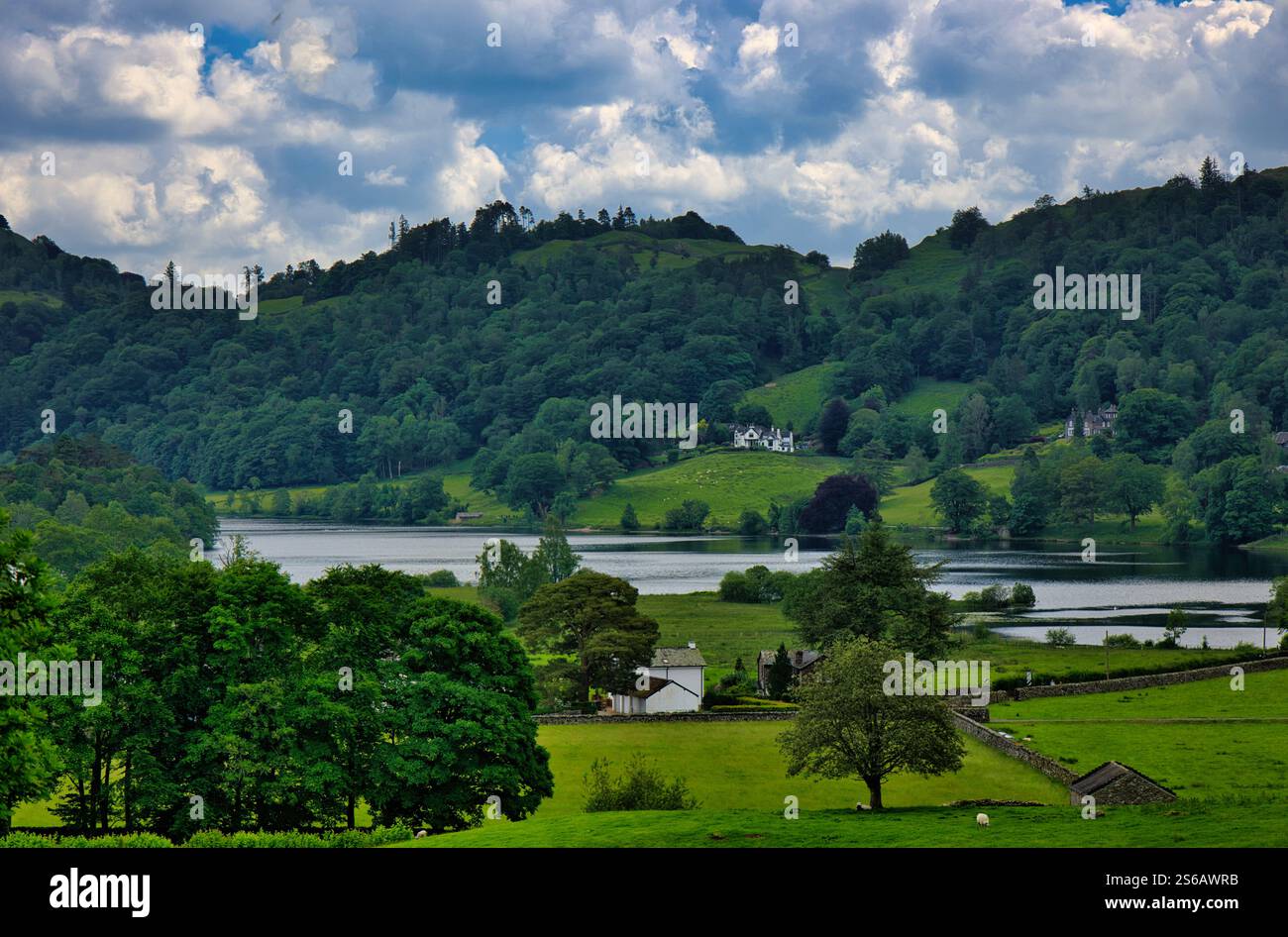 Lake District, Cumbria, England, UK - Farms and houses nestling on the hills around Grasmere lake under a blue sky in summer Stock Photo