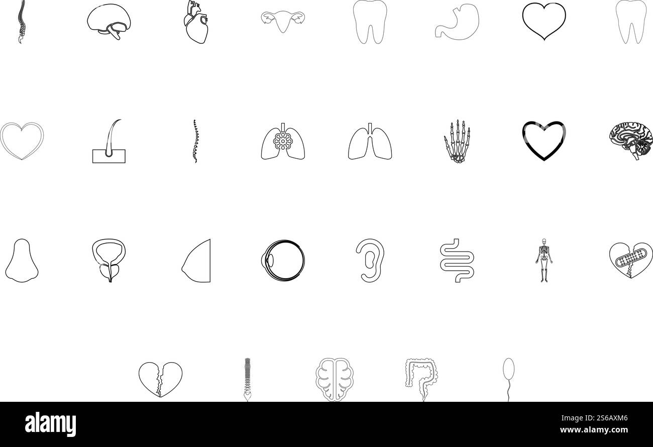 Organs human black color set outline style vector illustration. Organs ...