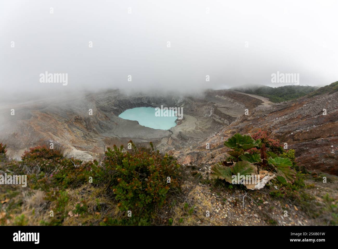 craterlake view of poas volcano Stock Photo - Alamy