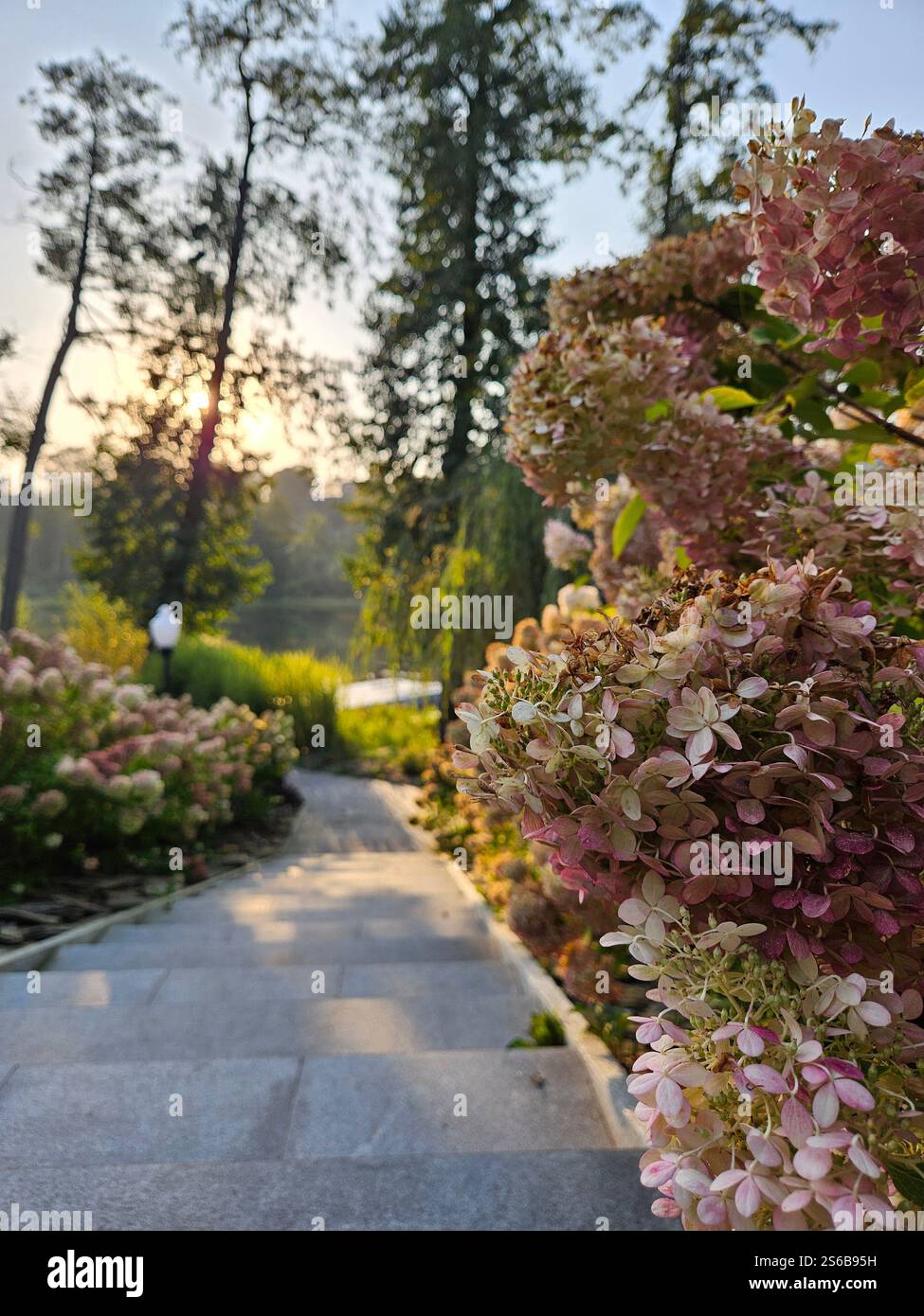 A path in flower garden in september - it is a picture from an amazing wedding destination. The place is called 'Kraina jezior'. - Smartphone Captured Stock Image