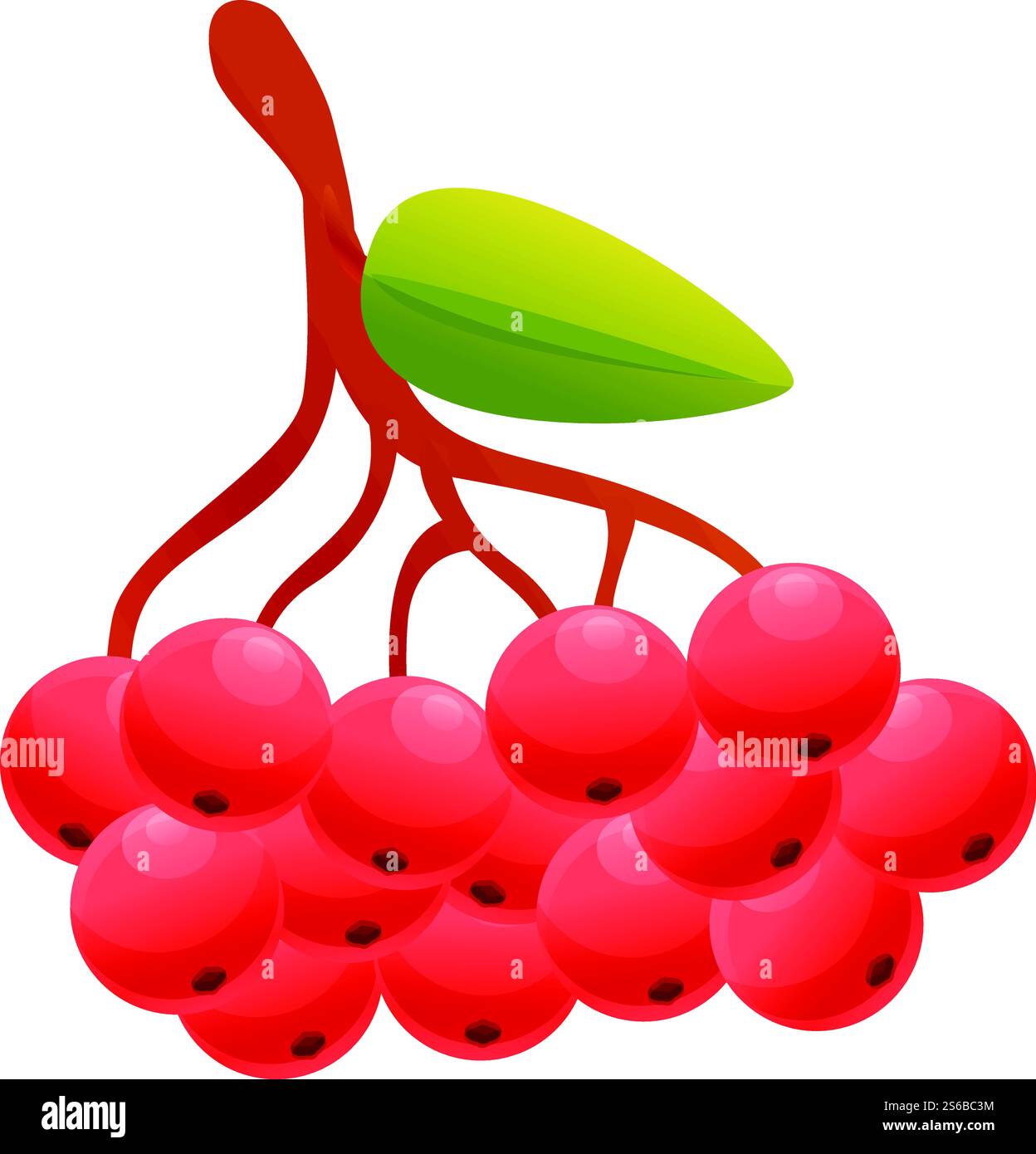 Astringent Stock Vector Images - Alamy