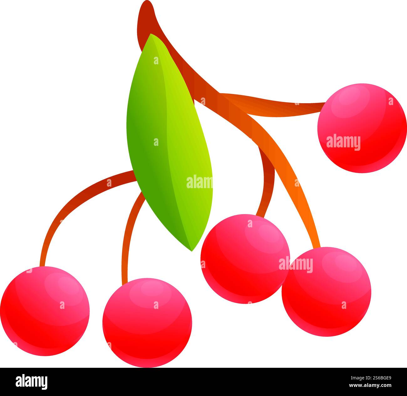 Rowan foliage icon. Cartoon of rowan foliage vector icon for web design ...