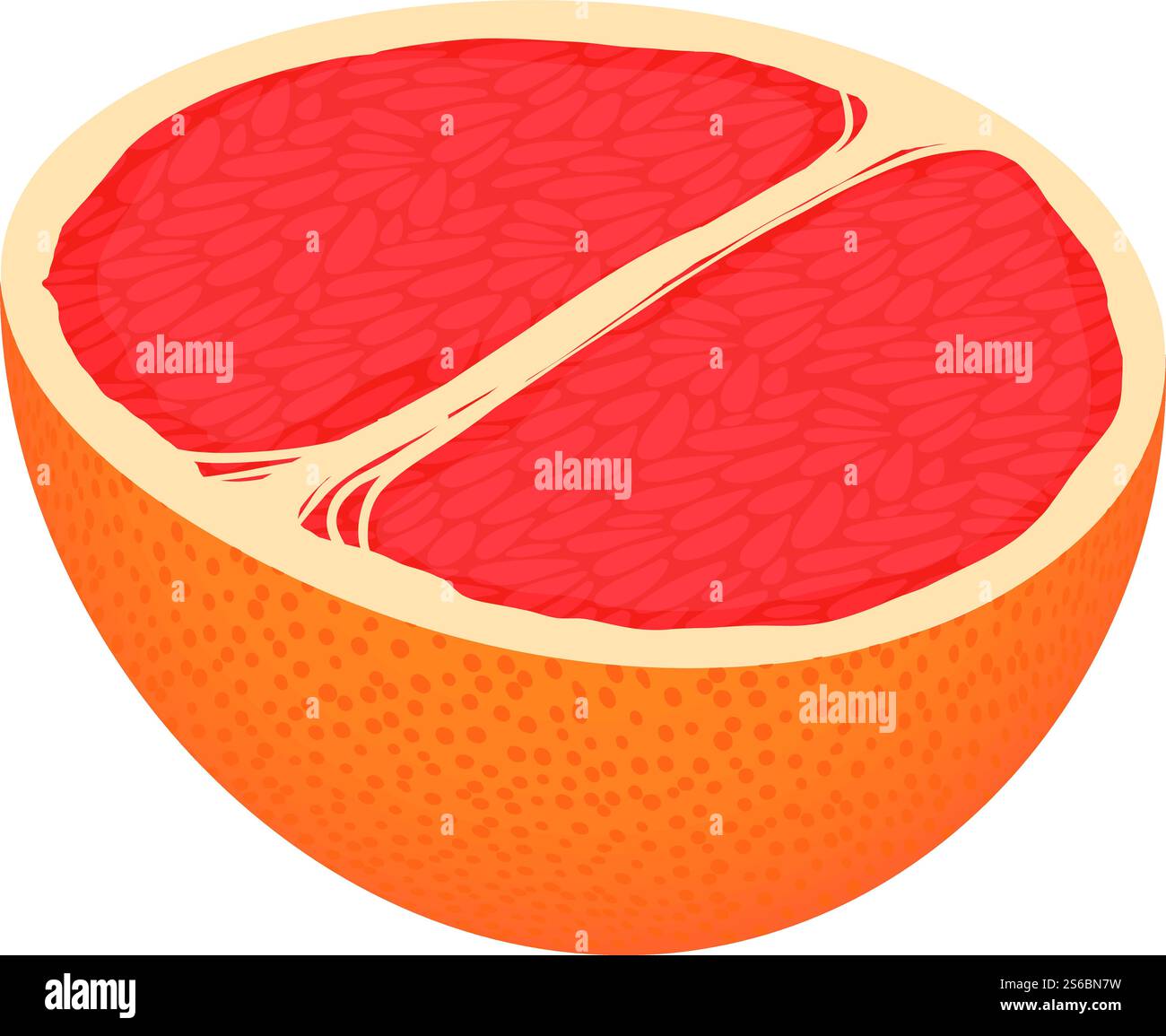 Half grapefruit icon. Isometric of half grapefruit vector icon for web design isolated on white background. Half grapefruit icon, isometric style Stock Vector