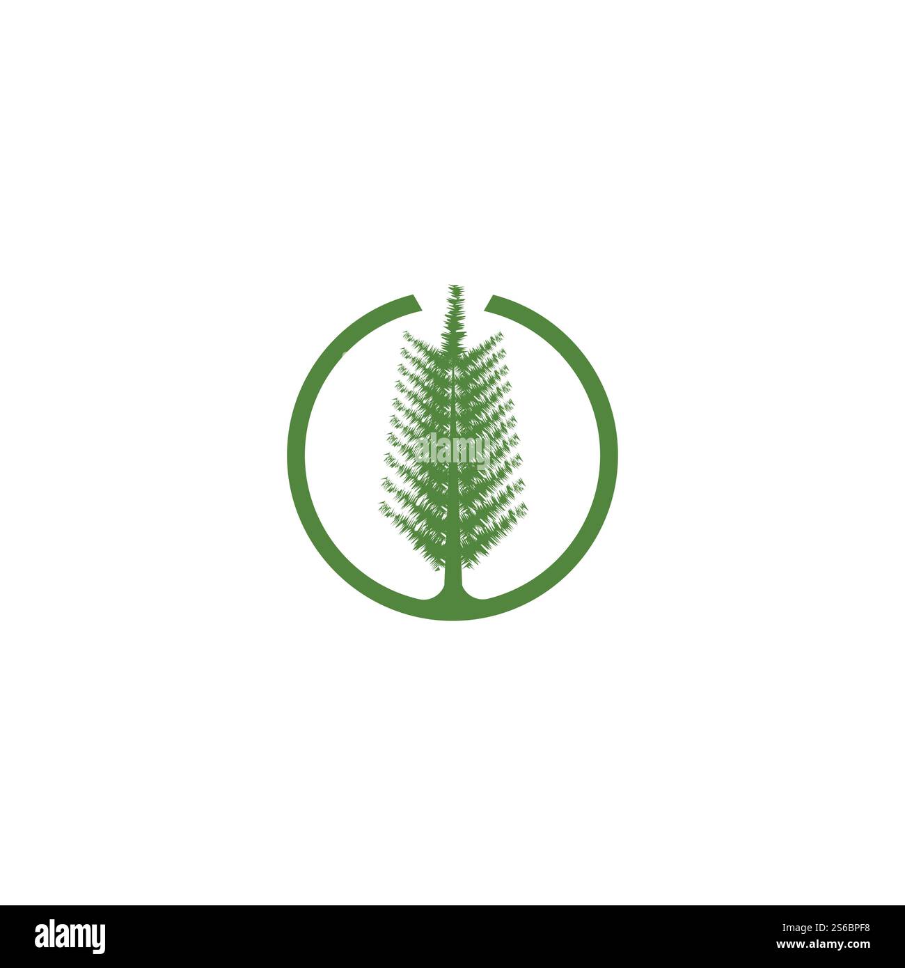 Pine tree ilustration logo vector design Stock Vector