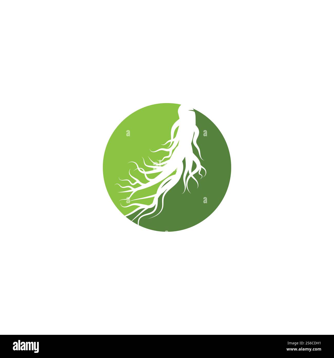 Ginseng Wave Logo Template vector symbol nature Stock Vector