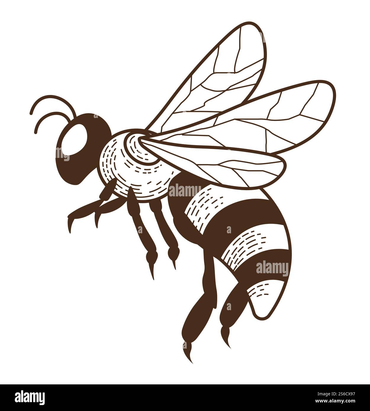 Bee stinging insect striped bug with wings isolated sketch vector