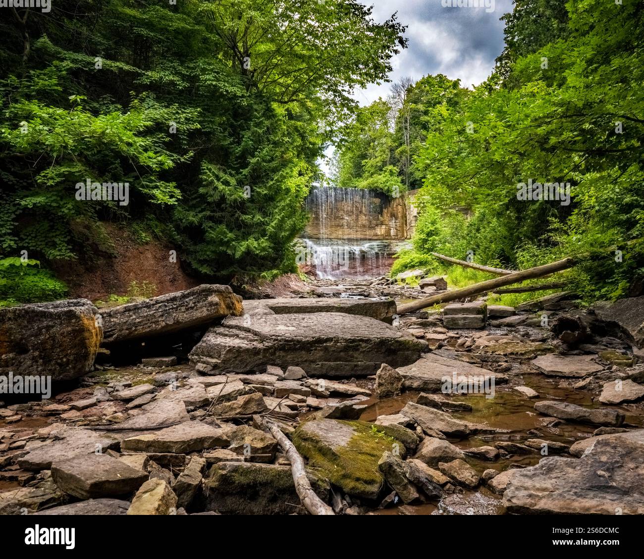 Indian Falls in ON, Canada, cascades gracefully into a rocky basin, surrounded by lush greenery. Serene natural retreat perfect for outdoor adventures. Stock Photo