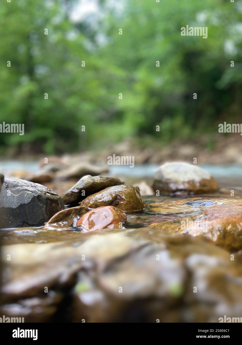 Gone is the sorrow of yesterday, blurry are the reminder of another day. - Smartphone Captured Stock Image