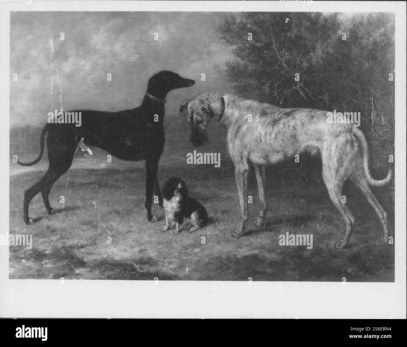 George Morley George Morley (active 1832-63) - ''Nero'', ''Dash'' and ''Hector ...
