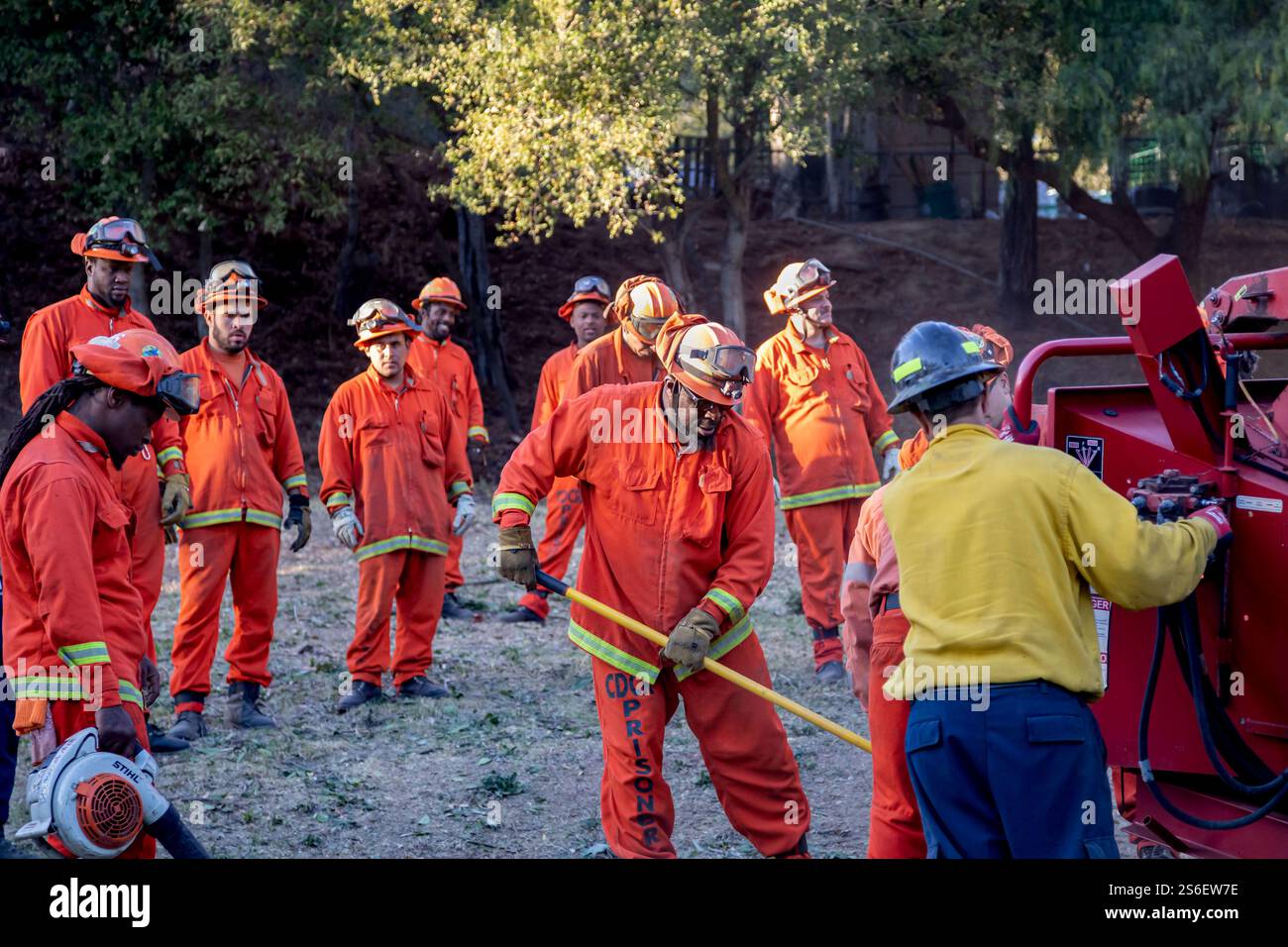 Calfire Inmate Program Inmates from California’s prisoner firefighter program clear brush in ...