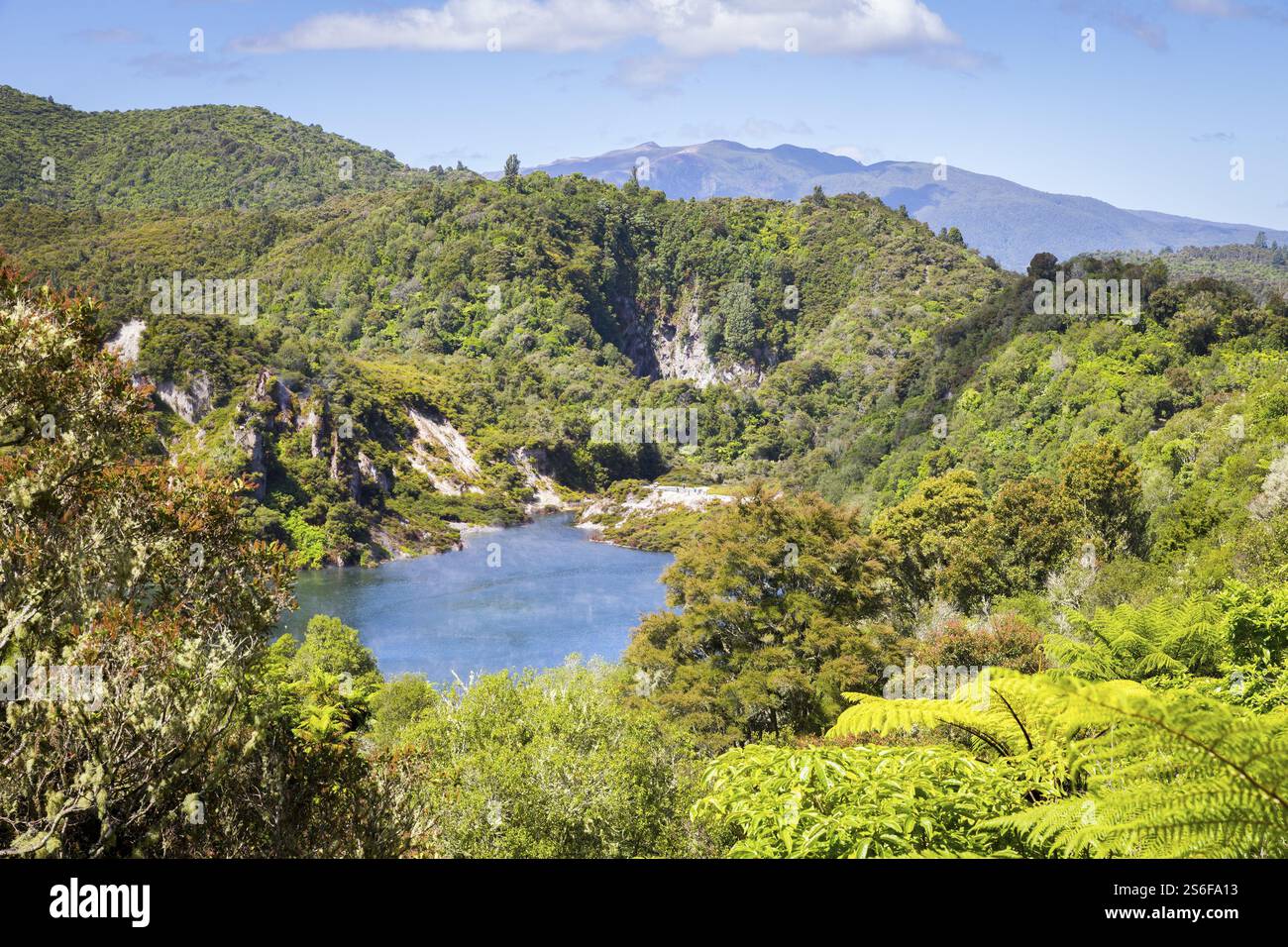 An image of a volcanic lake at waimangu new zealand Stock Photo - Alamy