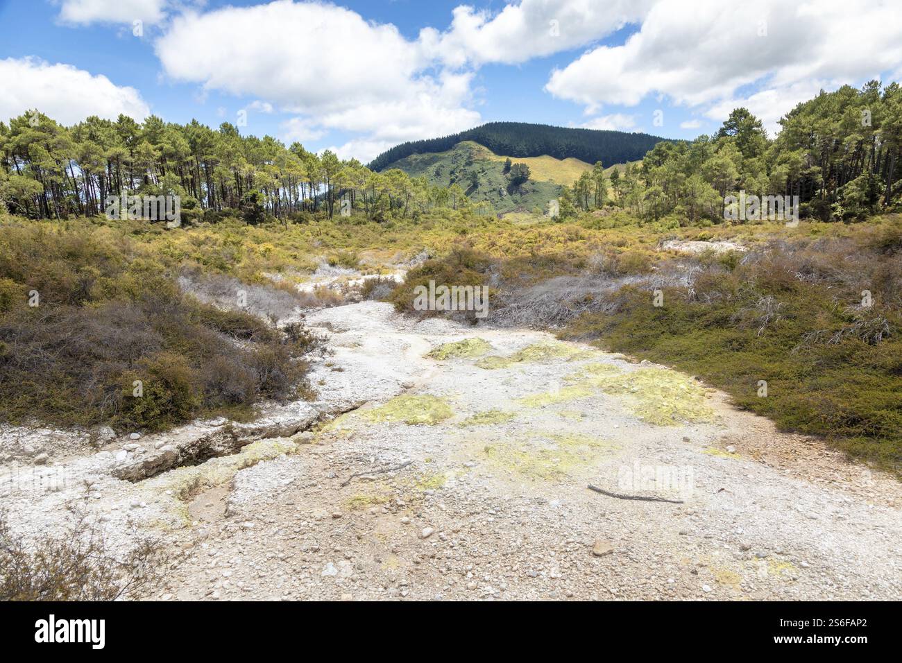 An image of geothermal activity at Rotorua in New Zealand Stock Photo