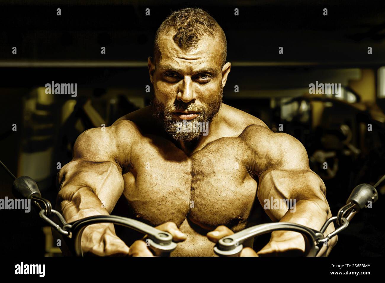 An image of a handsome bearded bodybuilding man doing chest workout Stock Photo