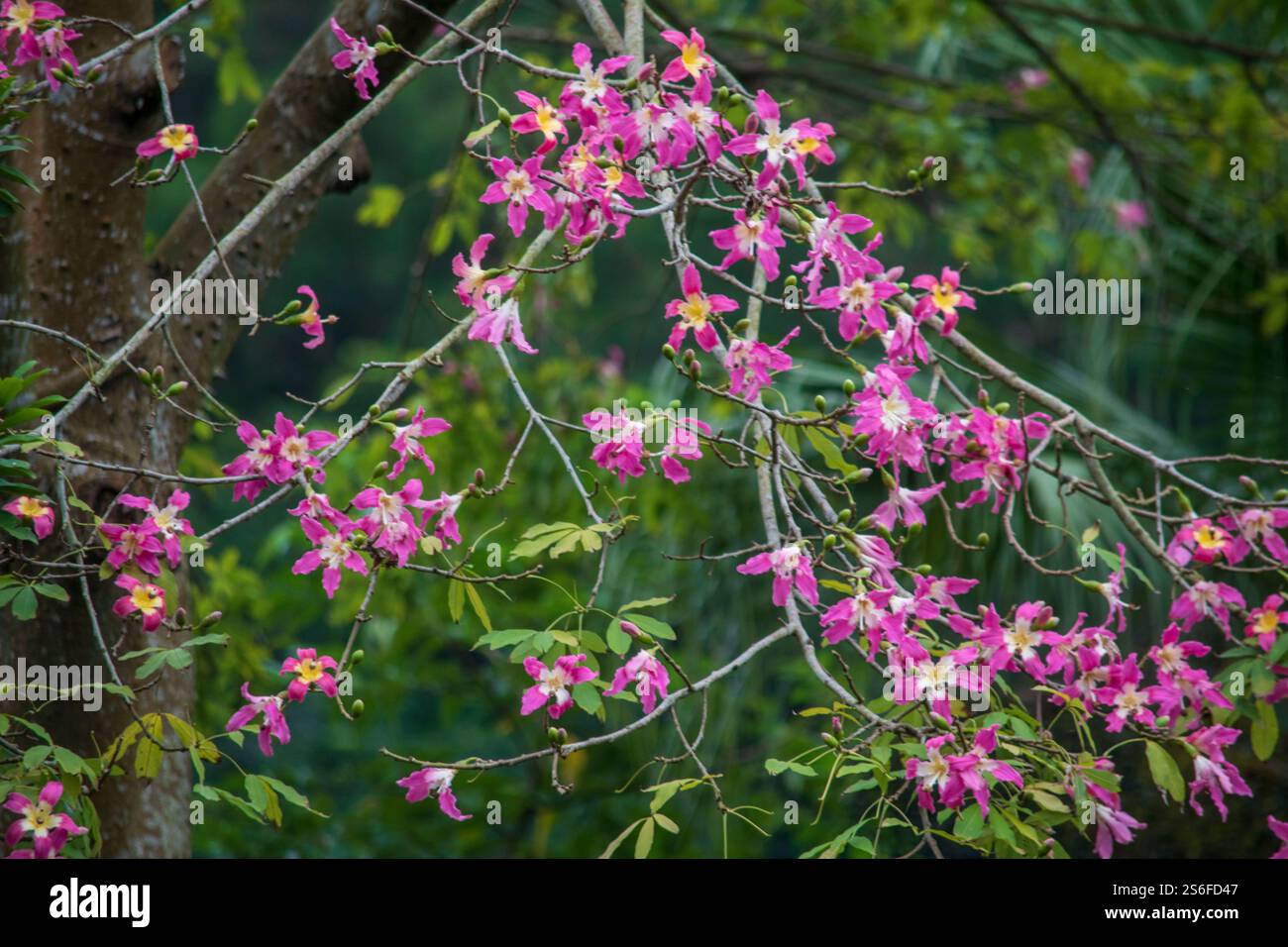The Taipei Zoo in Taiwan #39 s capital features many different kinds of