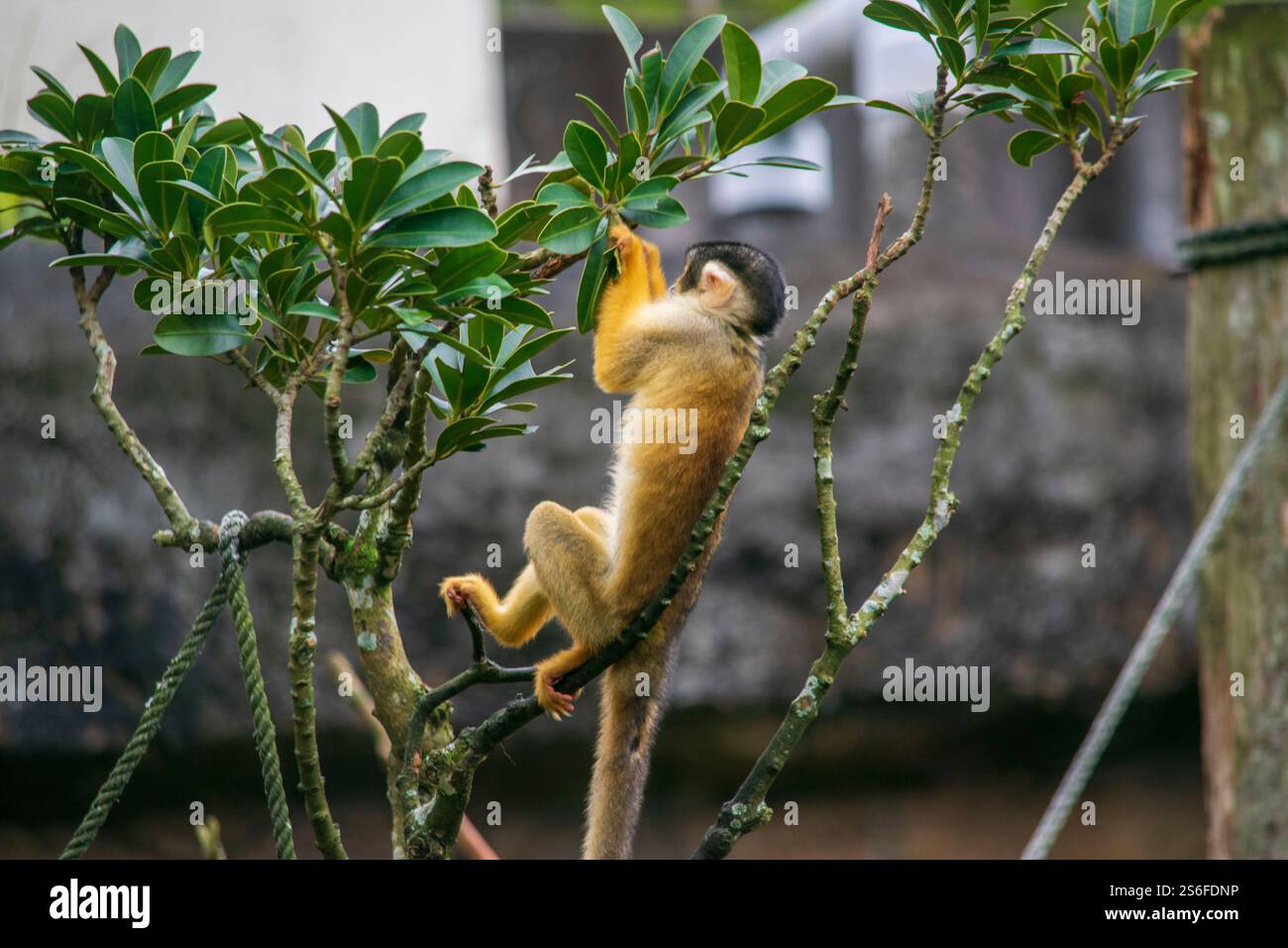The Taipei Zoo in Taiwan #39 s capital features many different kinds of