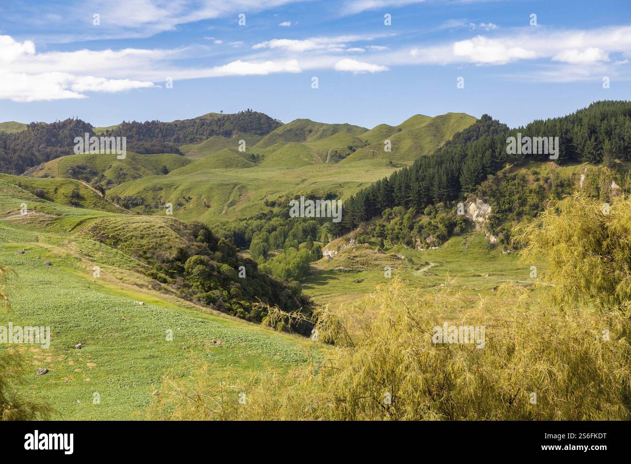An image of a typical rural landscape in New Zealand Stock Photo - Alamy