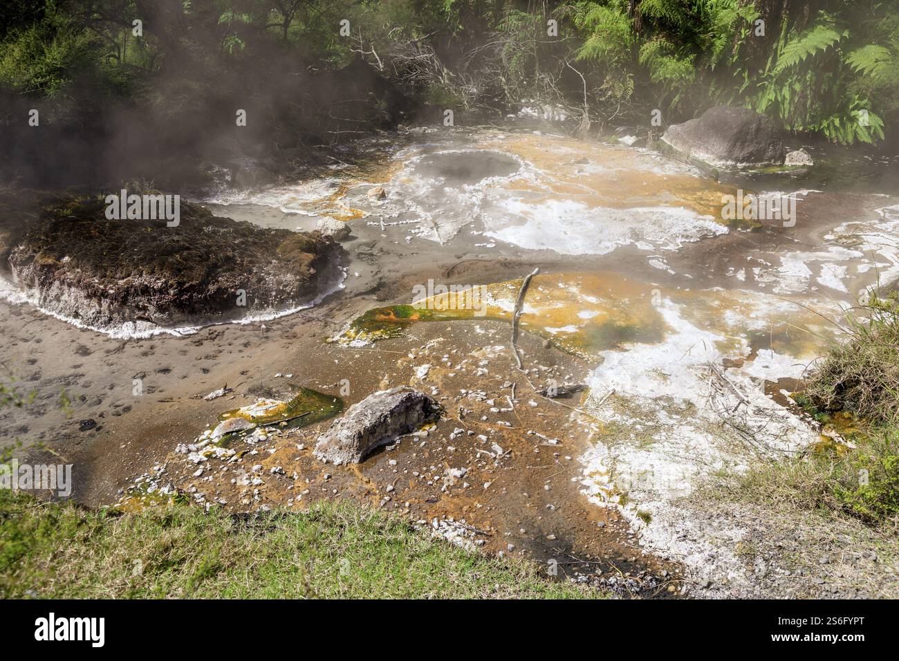 An image of a volcanic activities at waimangu new zealand Stock Photo ...