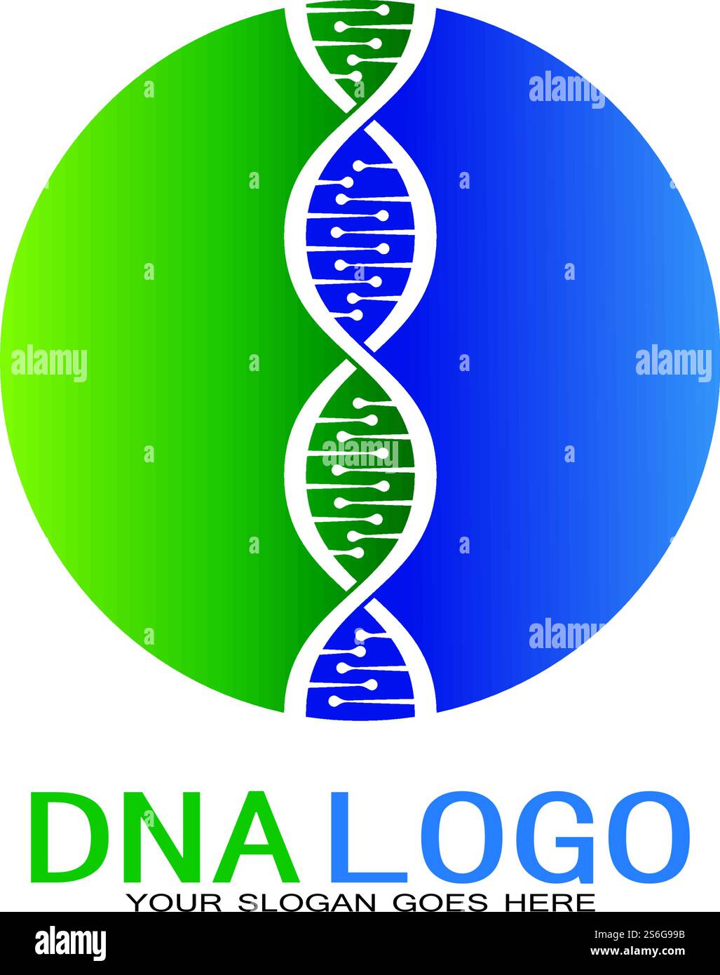 DNA vector logo design template.modern medical logotype.laboratory ...