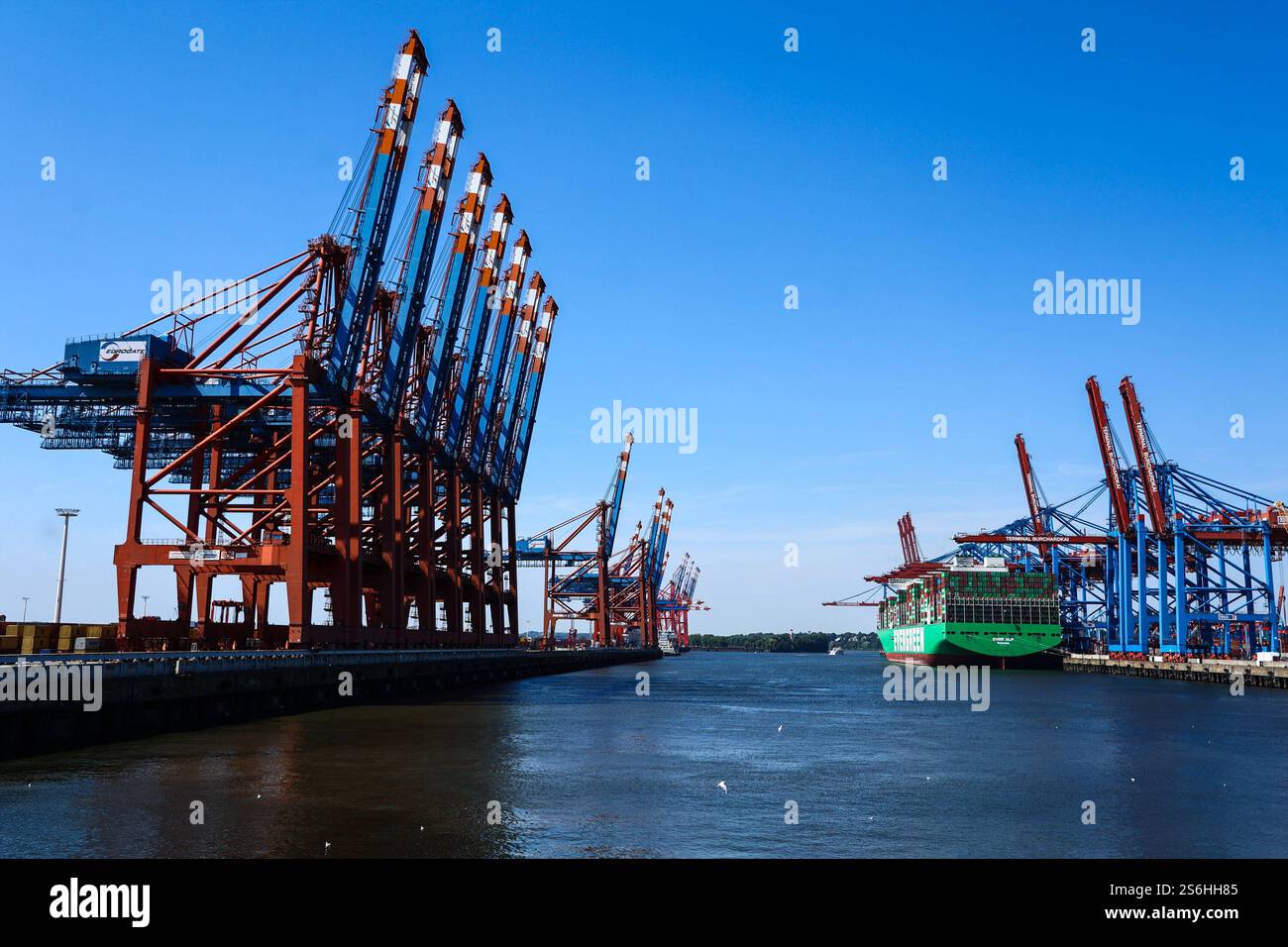 Stockbilder 01/2025 Container Terminal am Hamburger Hafen *** Stock ...