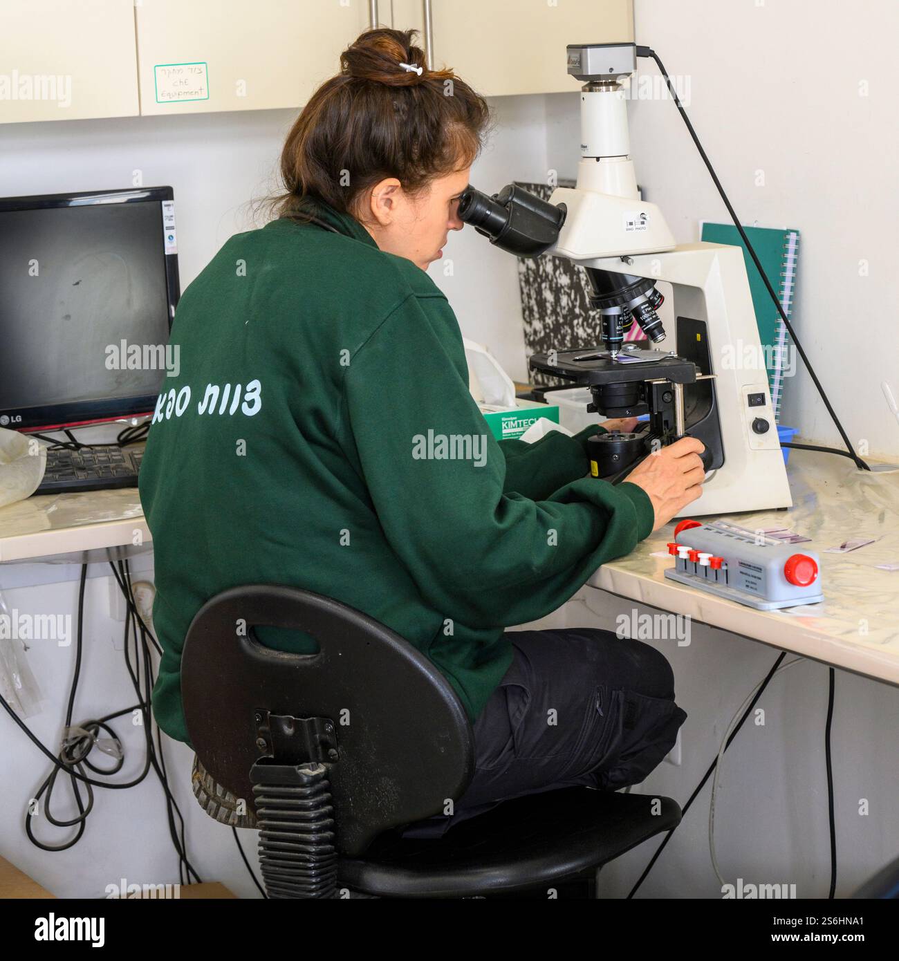 operator is using an Optical microscope to view blood samples on glass slides Stock Photo