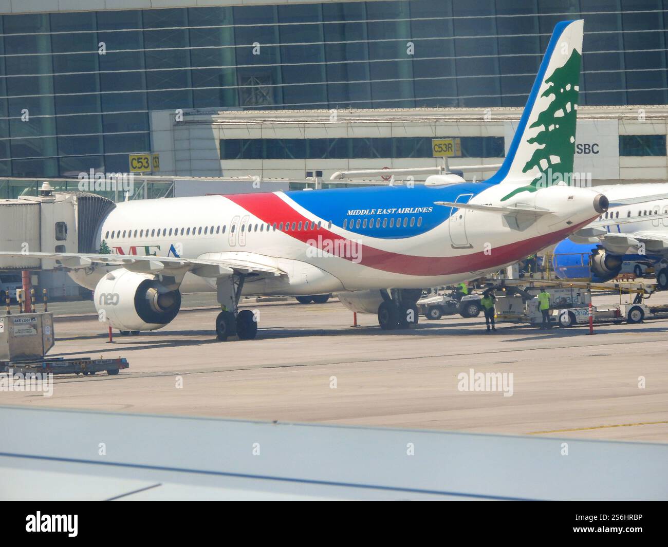 Middle East Airlines Airbus A321 Photographed at the Dubai airport
