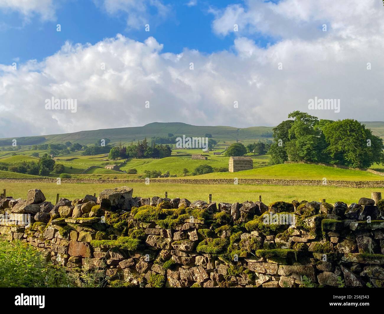 Summer sunshine on the drystone walls and field barns in the countryside around Hawes, Wensleydale, North Yorkshire, UK - Smartphone Captured Stock Image