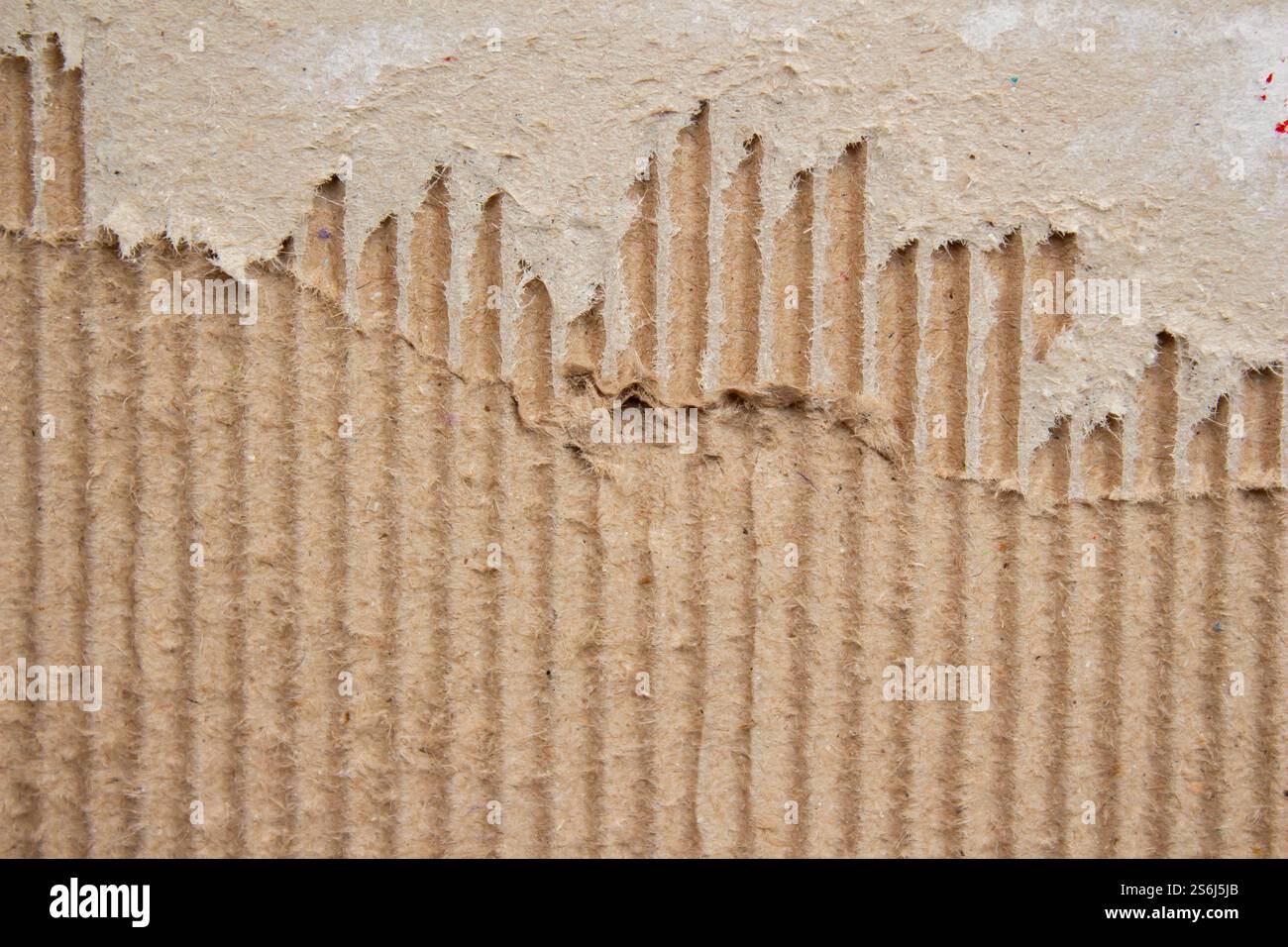 Abstract torn ripped cardboard paper texture as background Stock Photo ...