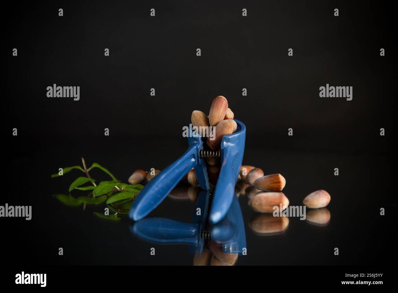 hazelnuts with nutcracker isolated on black background. Stock Photo