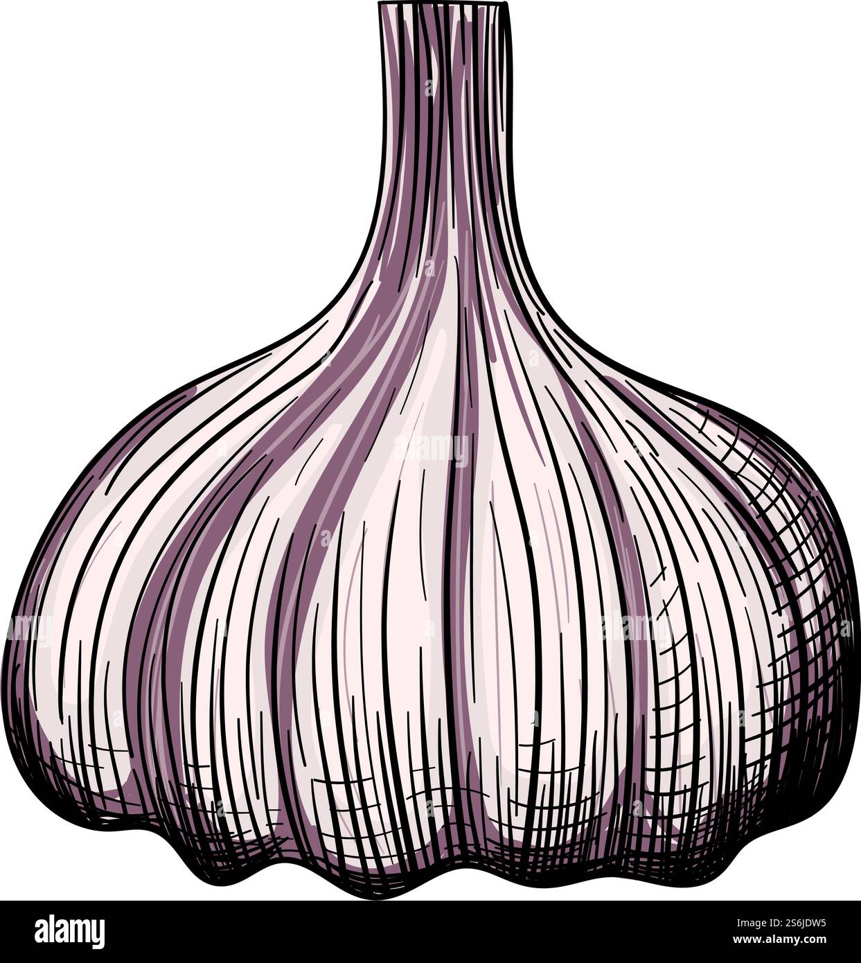 Garlic Icon. Hand Drawn Sketch Design. Vector Illustration Stock Vector ...