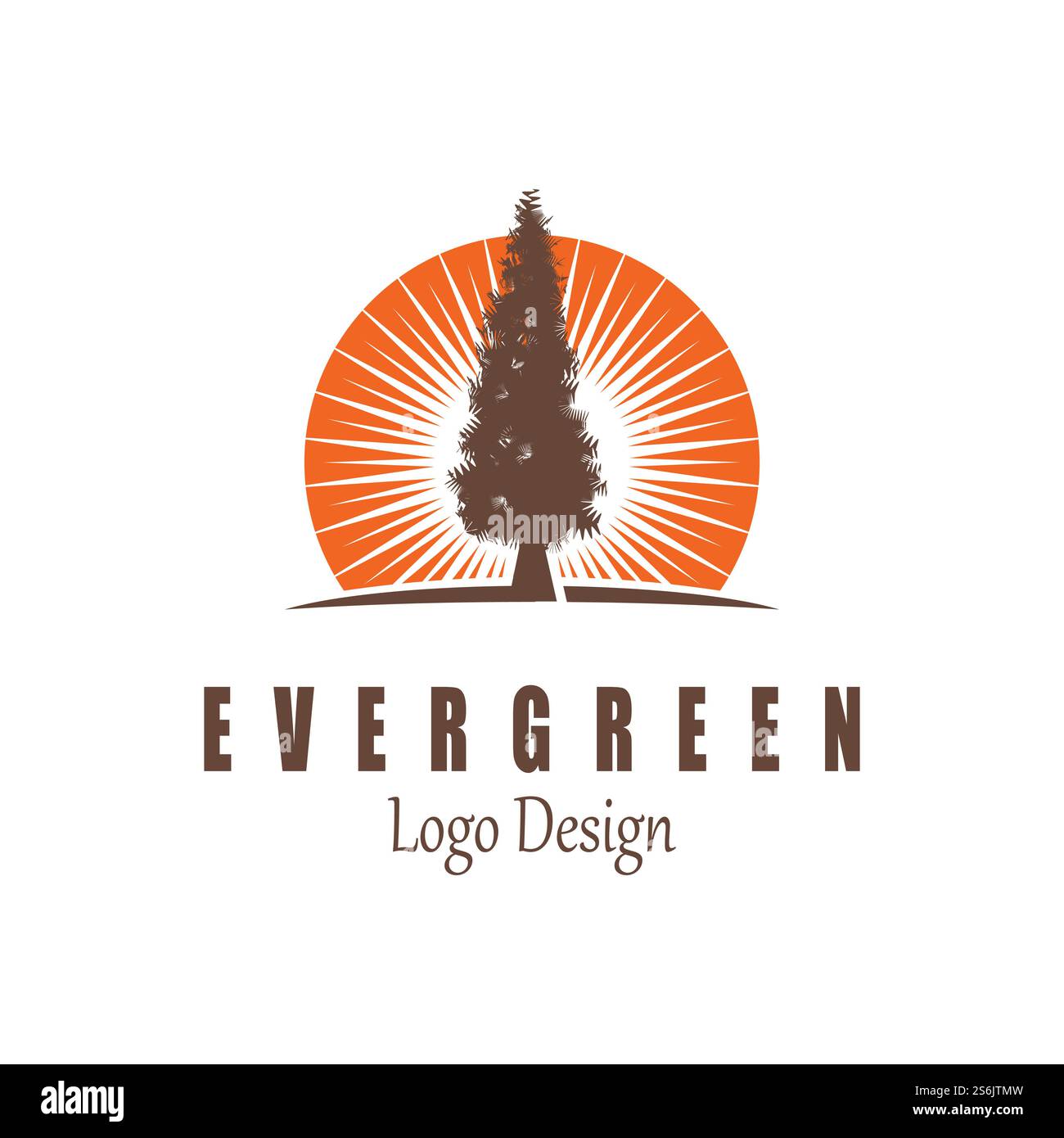 pine evergreen fir hemlock spruce conifer cedar Christmas tree Logo ...
