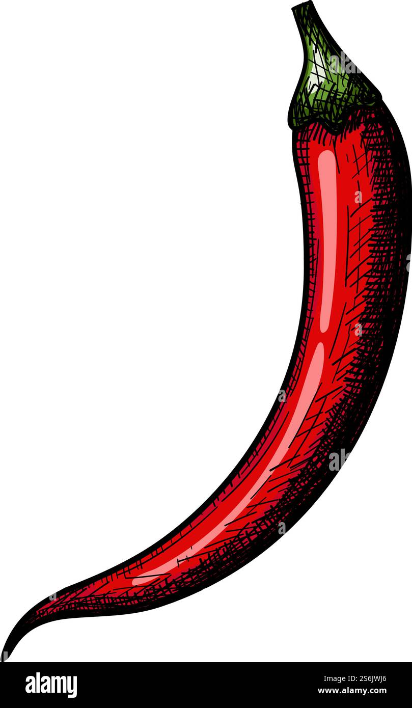 Chili Pepper Icon. Hand Drawn Sketch Design. Vector Illustration Stock ...