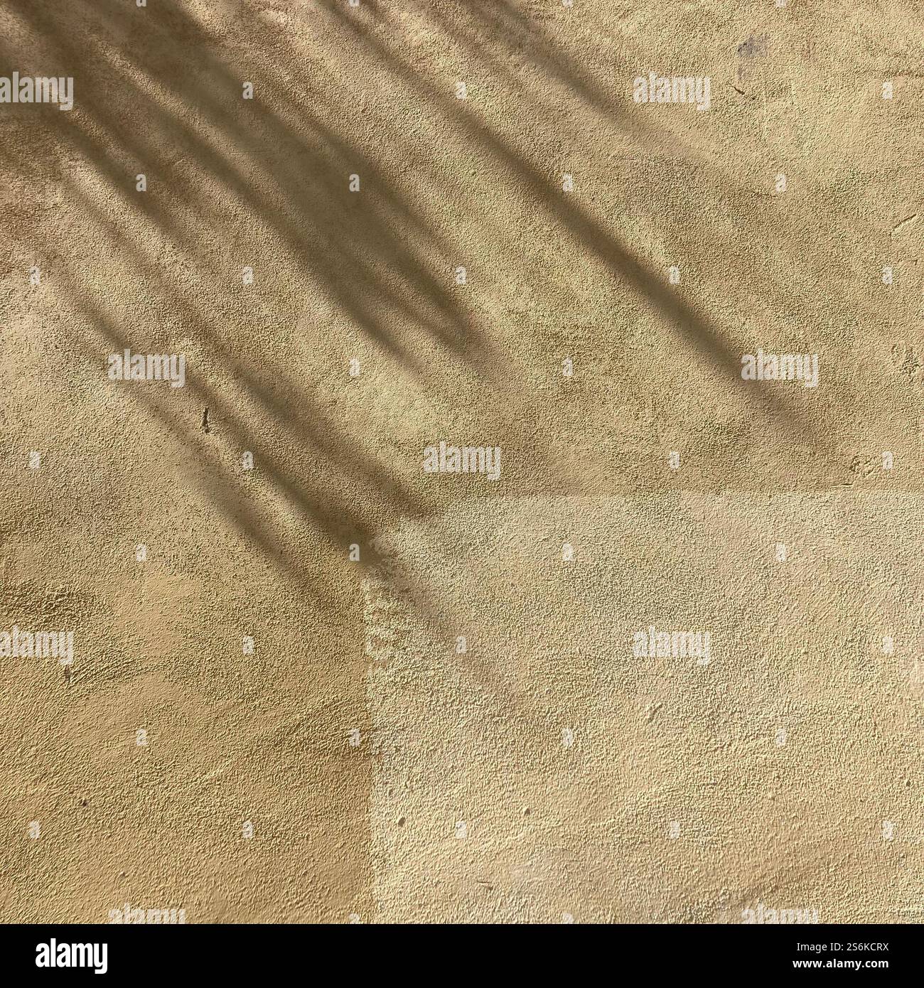 An artistic composition showcasing a beige textured wall with plant shadows. The play of light and shadow creates a natural and calming aesthetic. - Smartphone Captured Stock Image