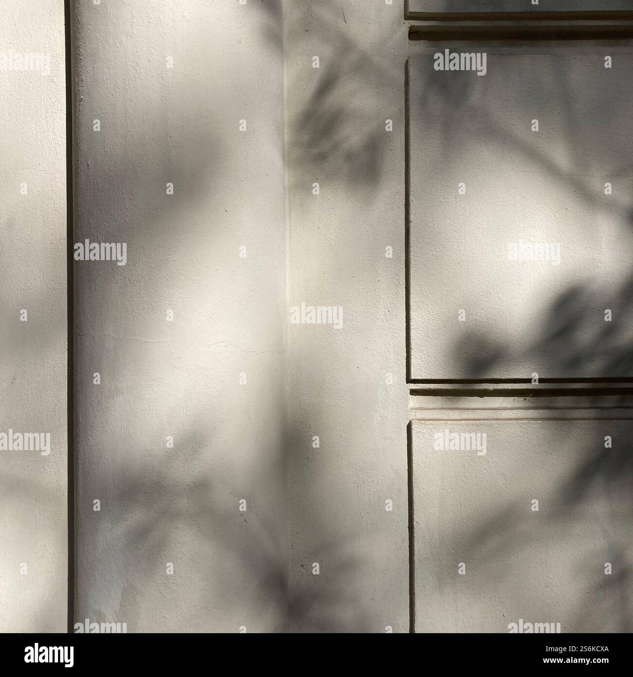 Soft Shadows Cast on a Textured Wall Surface in Natural Light - Smartphone Captured Stock Image