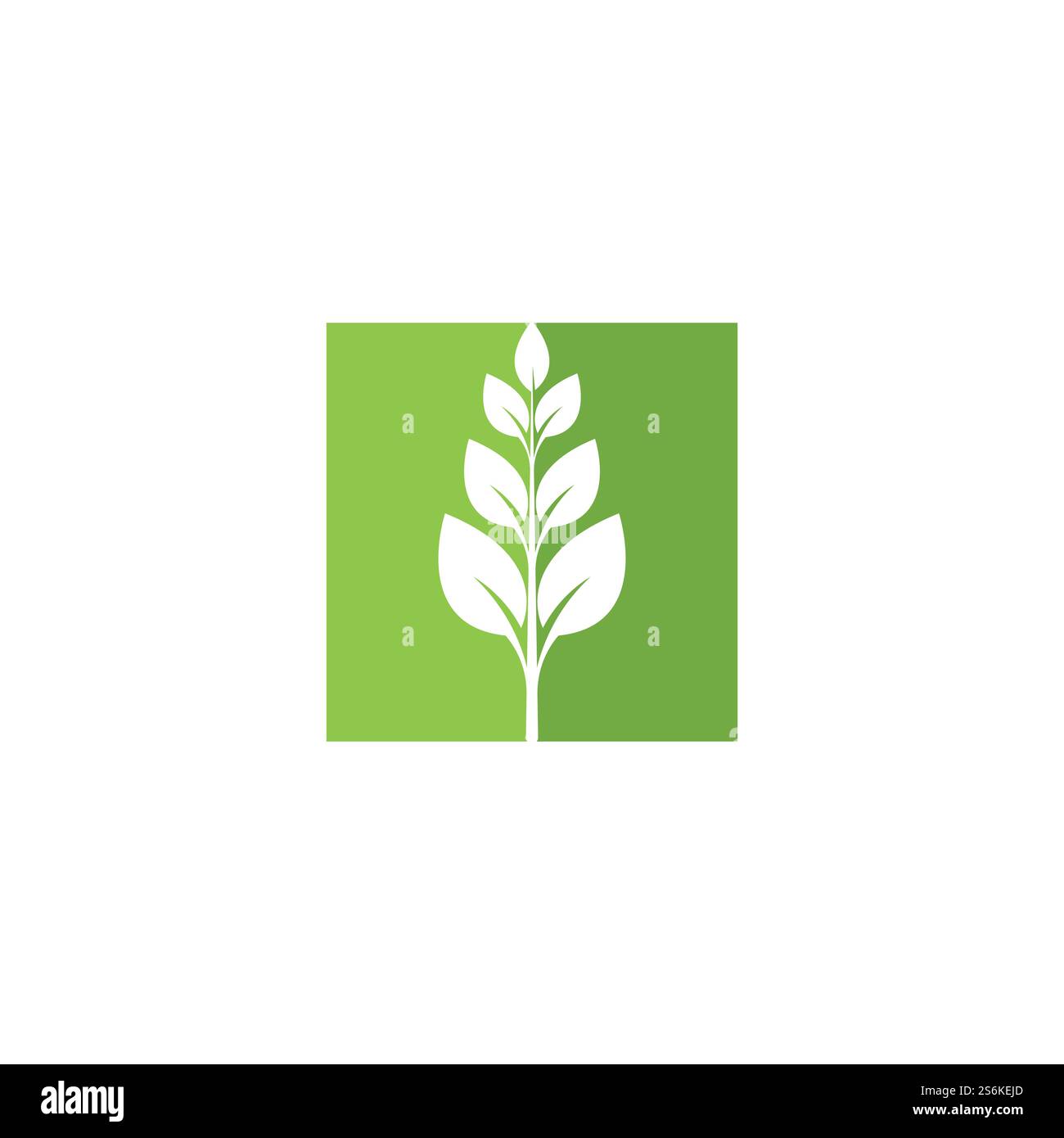 Eco icon green leaf vector illustration Stock Vector Image & Art - Alamy