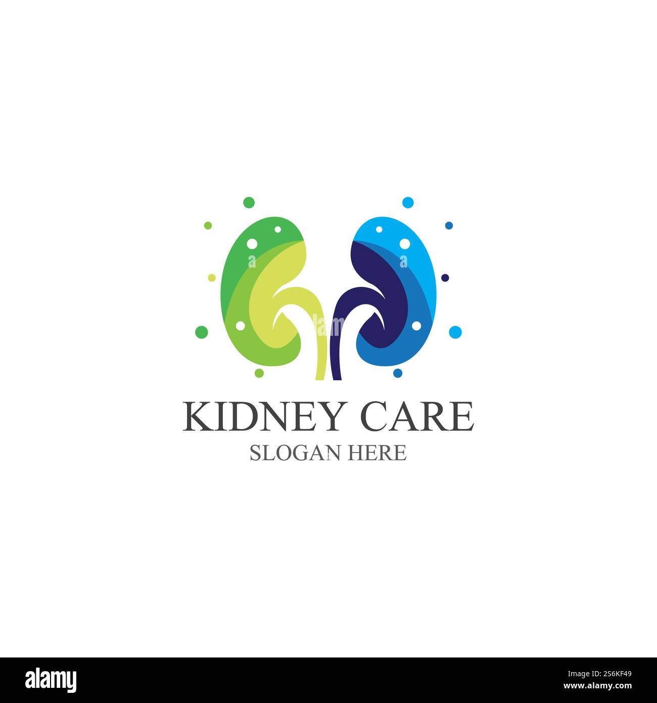 Kidney care icon and symbol vector illustration Stock Vector Image ...