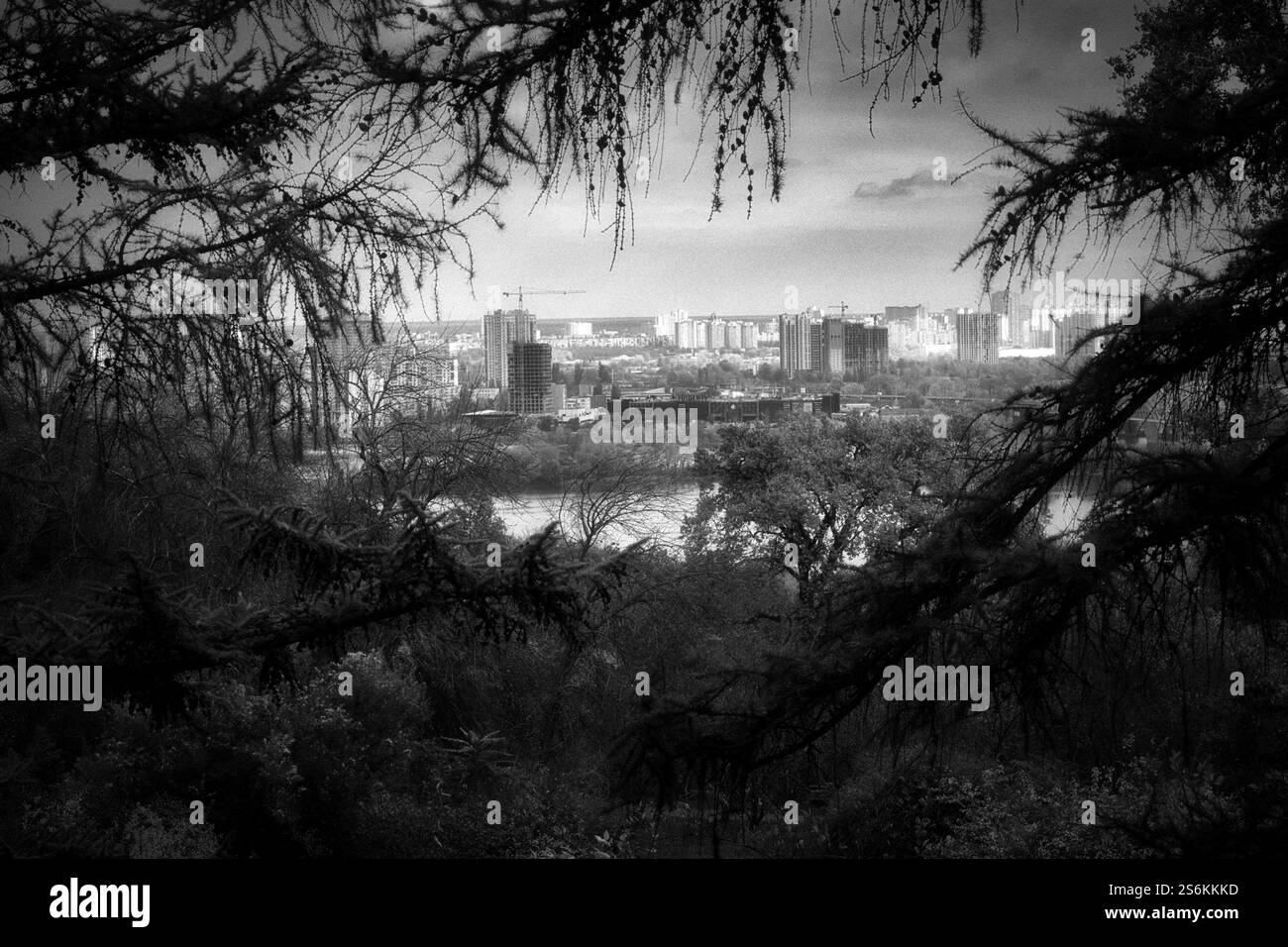 black and white landscape in the park Stock Photo - Alamy